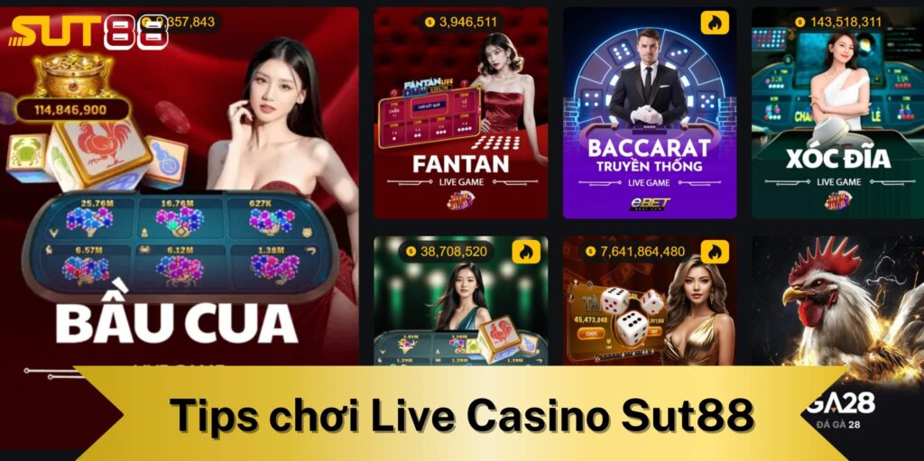 Tips chơi Live casino Sut88 hiệu quả